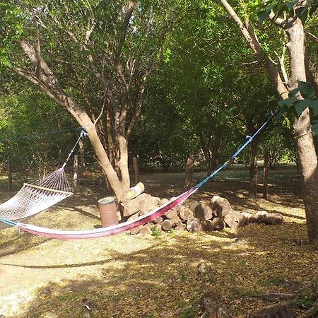 لا كروز Nasu Lodge المظهر الخارجي الصورة
