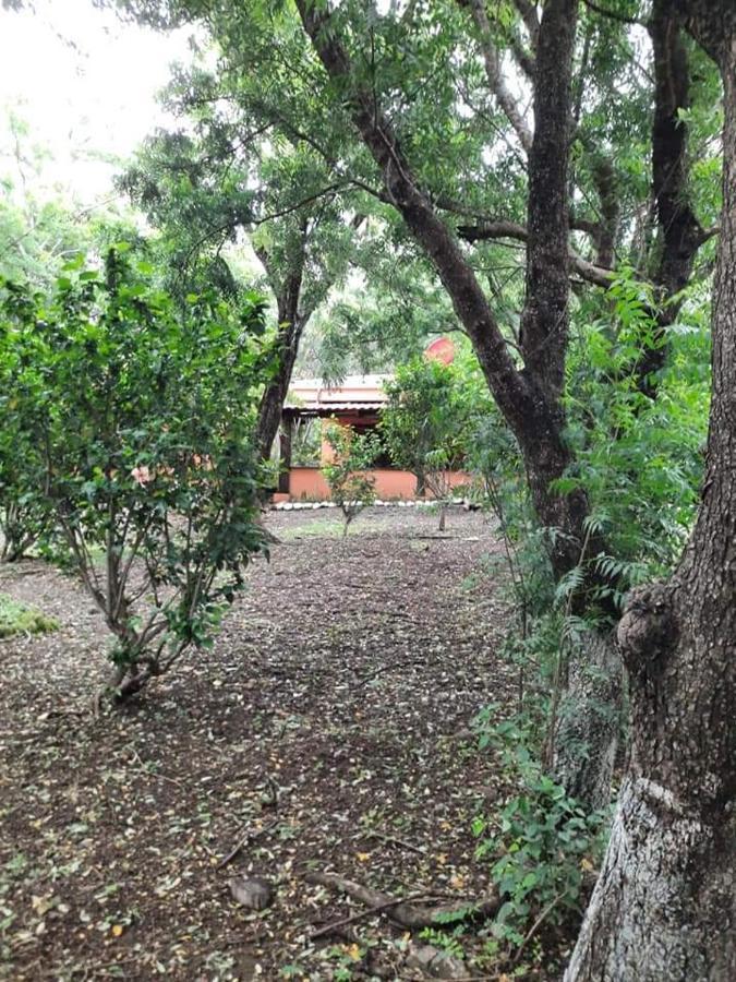 لا كروز Nasu Lodge المظهر الخارجي الصورة