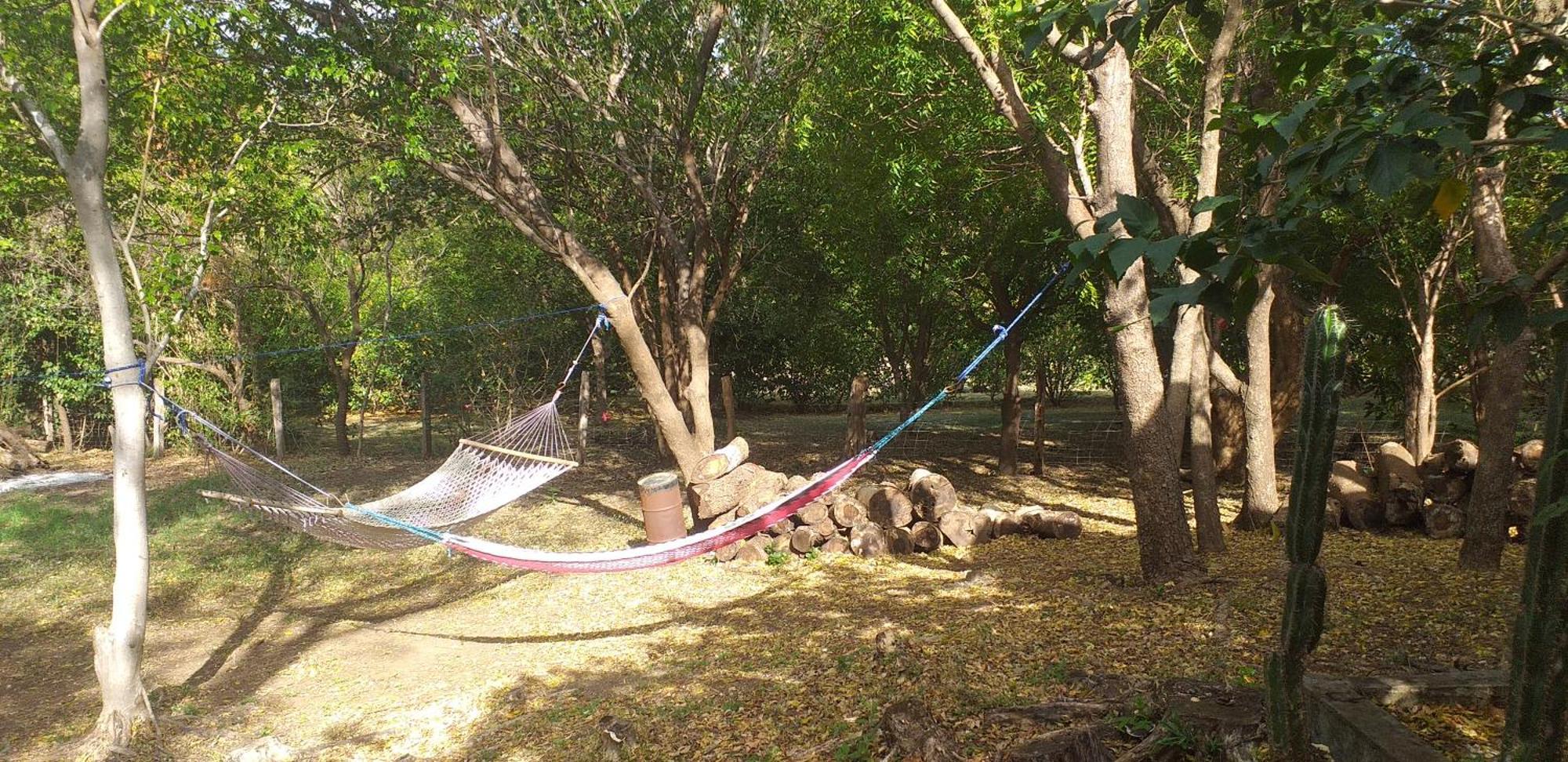 لا كروز Nasu Lodge المظهر الخارجي الصورة